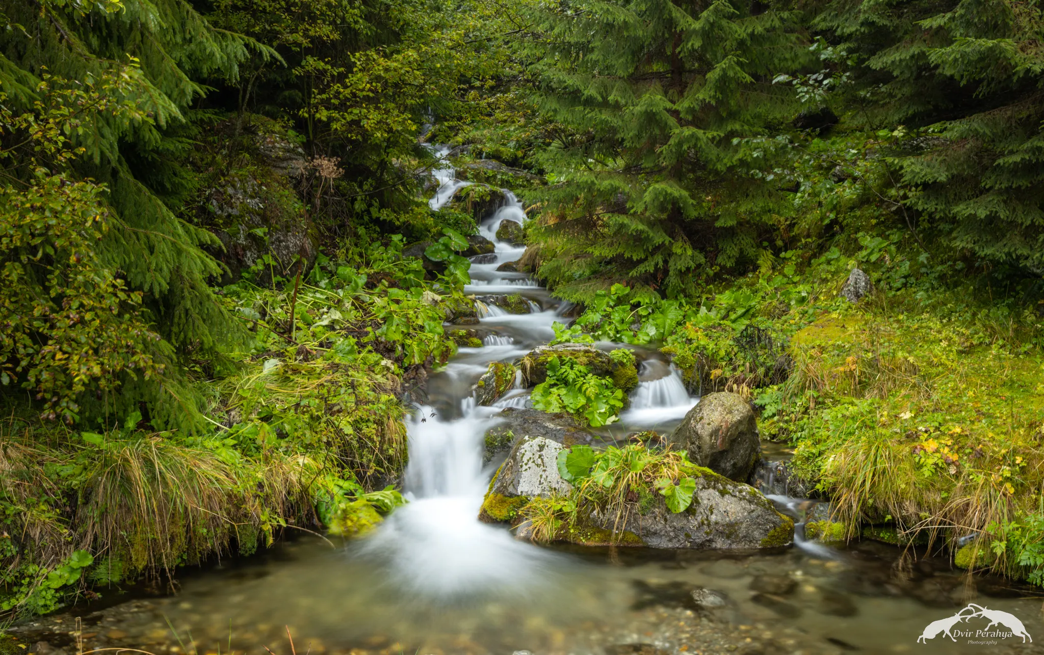 Tel Dor beach at sunset